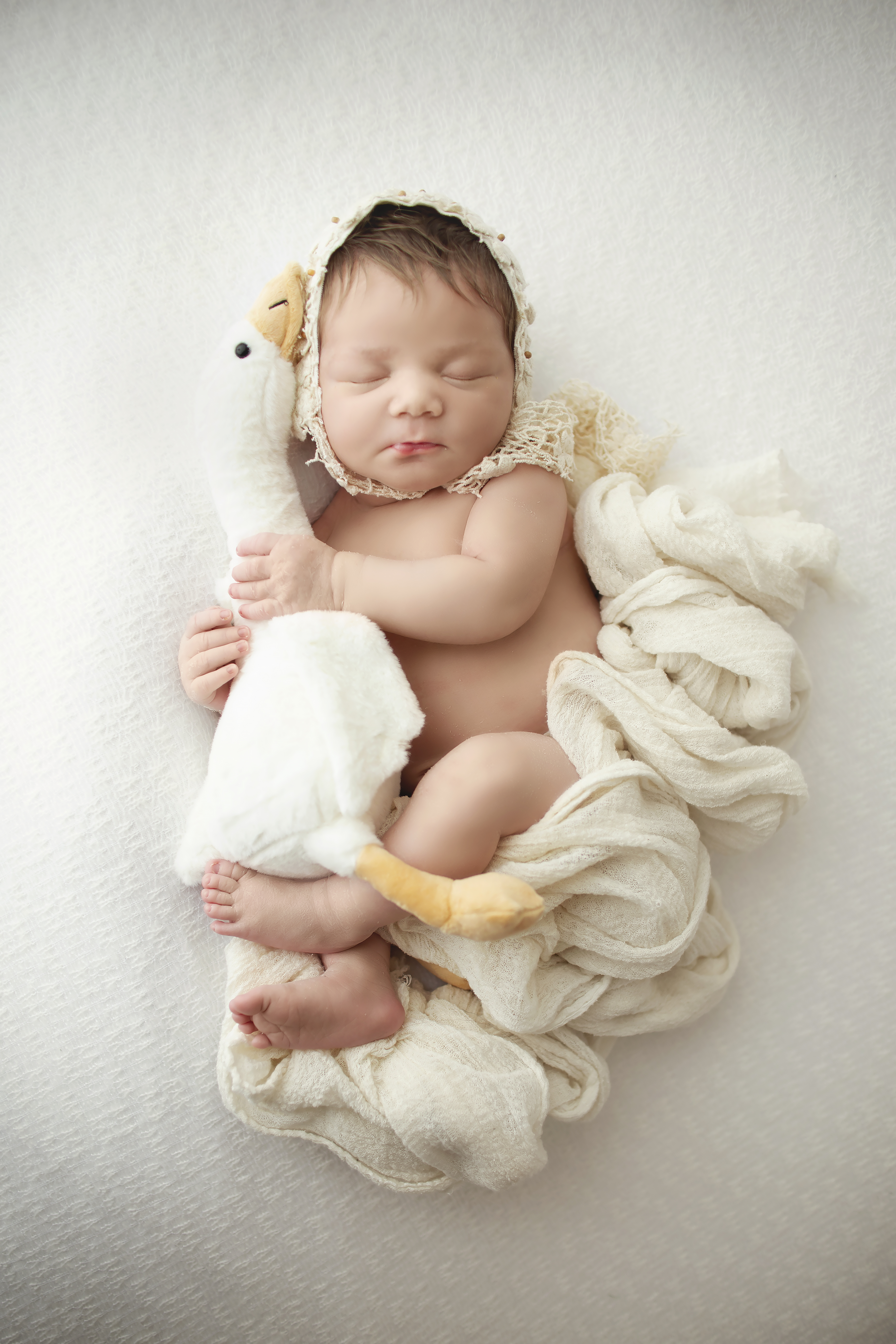 newborn baby picture white backdrop with goose lovey